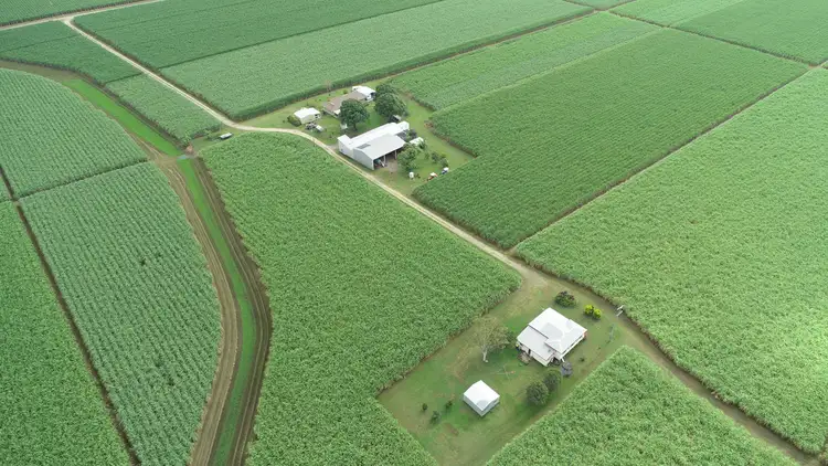 Second view of Homely rural property listing, 61 MULLERS ROAD, Marian QLD 4753