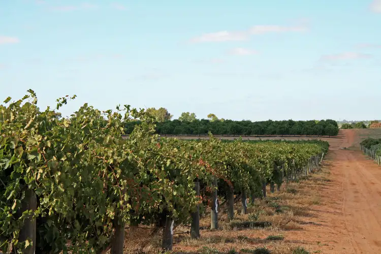 Lot 11 Anderson Road, Loxton SA 5333