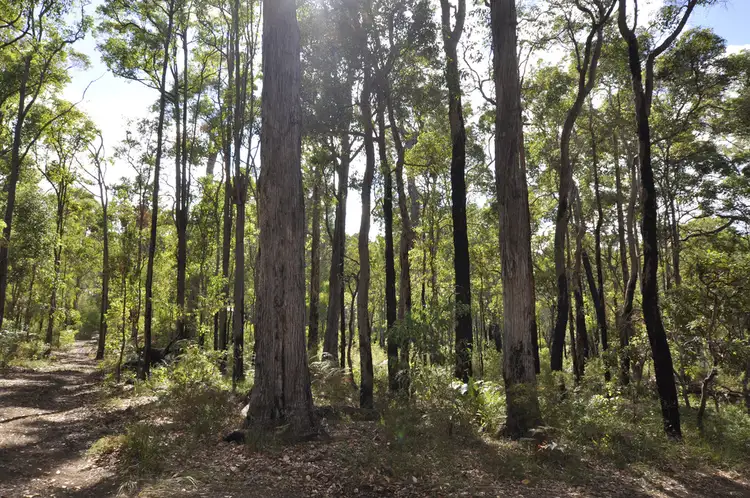 Lot 21 KARRI LANE, Quinninup WA 6258