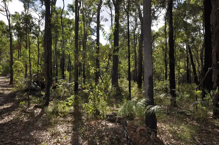 Seventh view of Homely land listing, Lot 21 KARRI LANE, Quinninup WA 6258