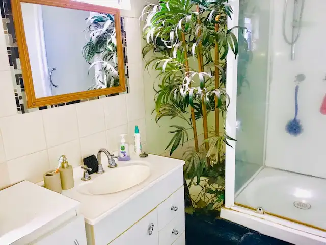 Sixth view of Homely house listing, 62 Mackenzies Road, Calen QLD 4798