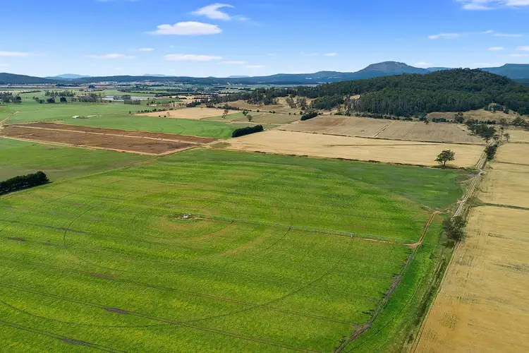 811 Dairy Plains Road, Dairy Plains TAS 7304