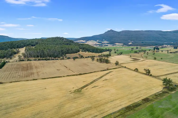 Third view of Homely rural property listing, 811 Dairy Plains Road, Dairy Plains TAS 7304