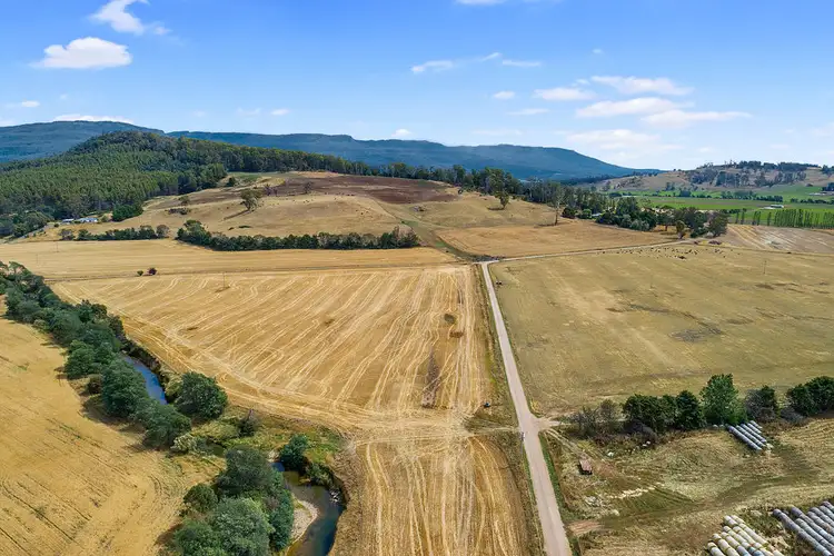 Fourth view of Homely rural property listing, 811 Dairy Plains Road, Dairy Plains TAS 7304