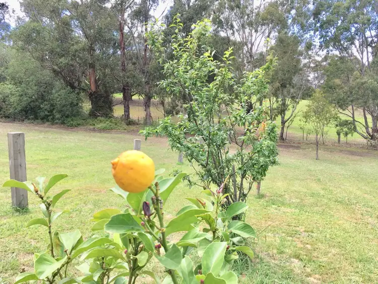 Third view of Homely other listing, 755A Nungurner Road, Metung VIC 3904