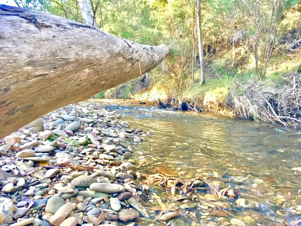 Main view of Homely rural property listing, 540 Archies Track, Waterholes VIC 3875