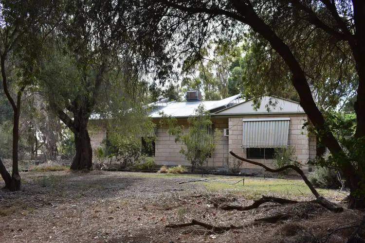 1333 Bookpurnong Road, Loxton SA 5333