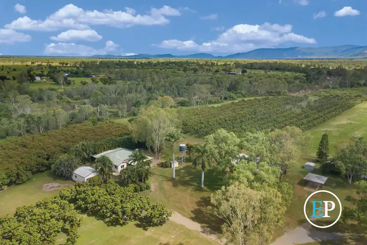 179 Nettlefield Road, Woodstock QLD 4816
