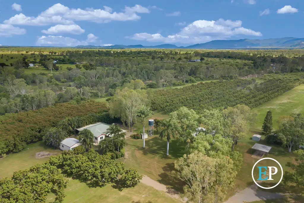 Main view of Homely house listing, 179 Nettlefield Road, Woodstock QLD 4816
