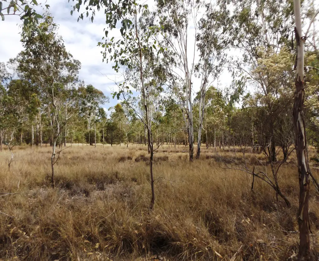 Main view of Homely land listing, lot 74 McClymont Road, Wattle Camp QLD 4615