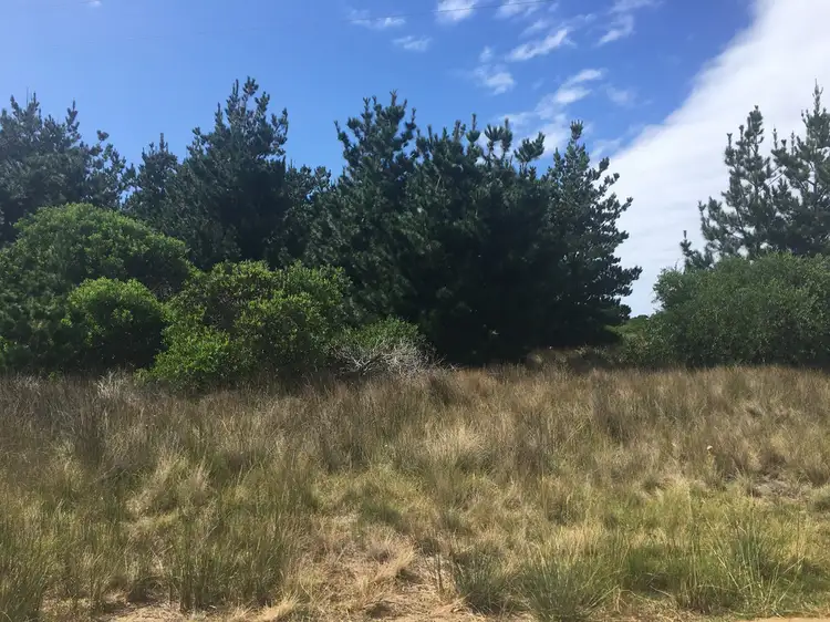 Main view of Homely land listing, 18 Bedgegood Place, Seymour TAS 7215