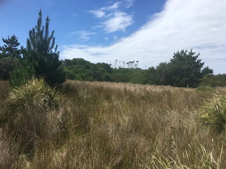 Fifth view of Homely land listing, 18 Bedgegood Place, Seymour TAS 7215