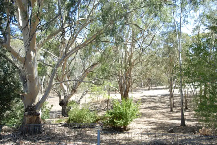 Main view of Homely house listing, 386 VICTORIA STREET, Deniliquin NSW 2710