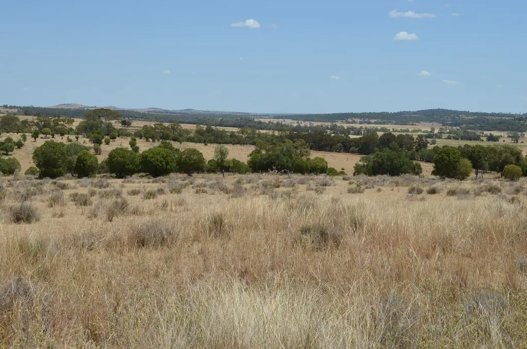 Main view of Homely rural property listing, 30 Hartwigs Road, Quinalow QLD 4403