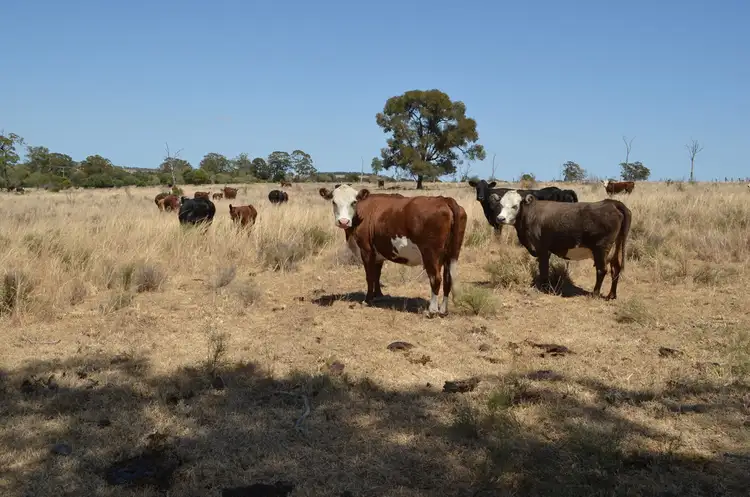 Fifth view of Homely rural property listing, 30 Hartwigs Road, Quinalow QLD 4403