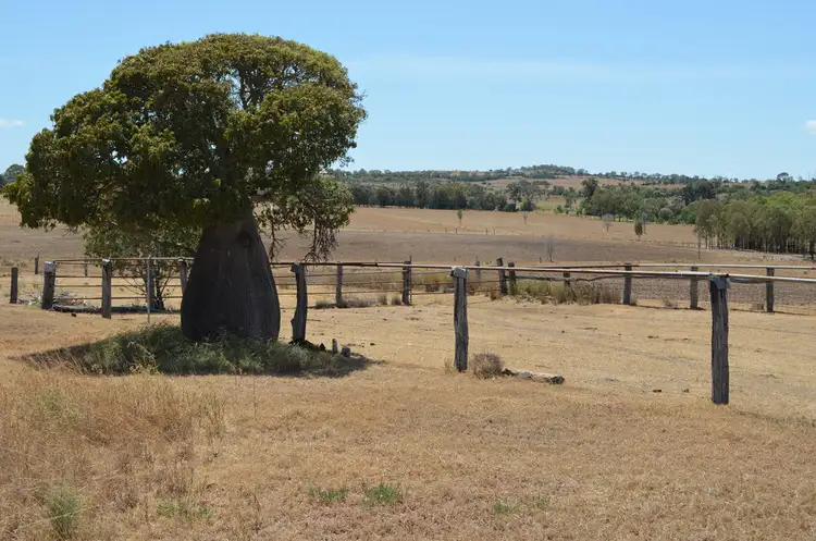 Seventh view of Homely rural property listing, 30 Hartwigs Road, Quinalow QLD 4403