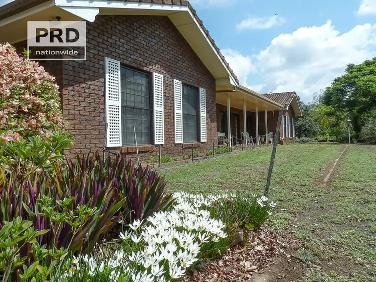 Main view of Homely house listing, 10 Hillside Drive, Fairy Hill NSW 2470