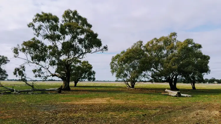 1452 Mt Terrick Road, Roslynmead VIC 3564