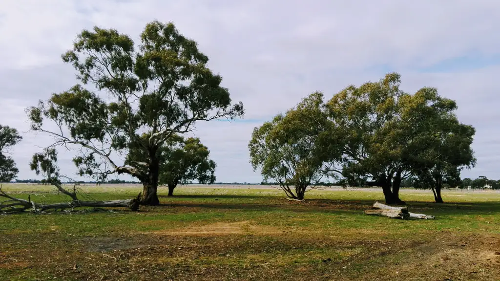 Main view of Homely rural property listing, 1452 Mt Terrick Road, Roslynmead VIC 3564