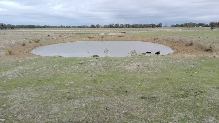 Fifth view of Homely rural property listing, 1452 Mt Terrick Road, Roslynmead VIC 3564