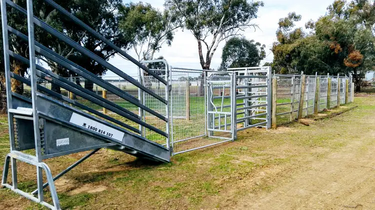 Sixth view of Homely rural property listing, 1452 Mt Terrick Road, Roslynmead VIC 3564