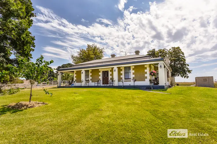 Main view of Homely house listing, 4 Hayes Road, Wandilo SA 5291