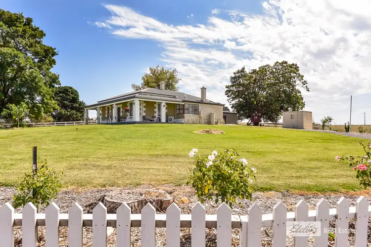 Third view of Homely house listing, 4 Hayes Road, Wandilo SA 5291