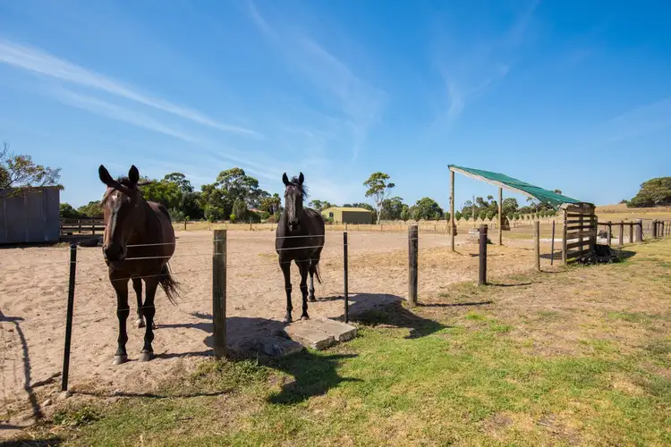 Sixth view of Homely house listing, 29608 Princes Highway, Glenburnie SA 5291