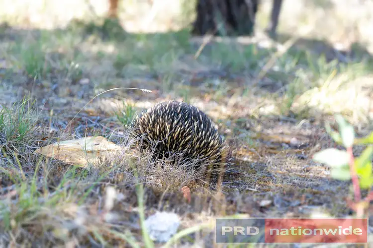 Fifth view of Homely land listing, Lot 67 Salvo Bend Road, Berringa VIC 3351