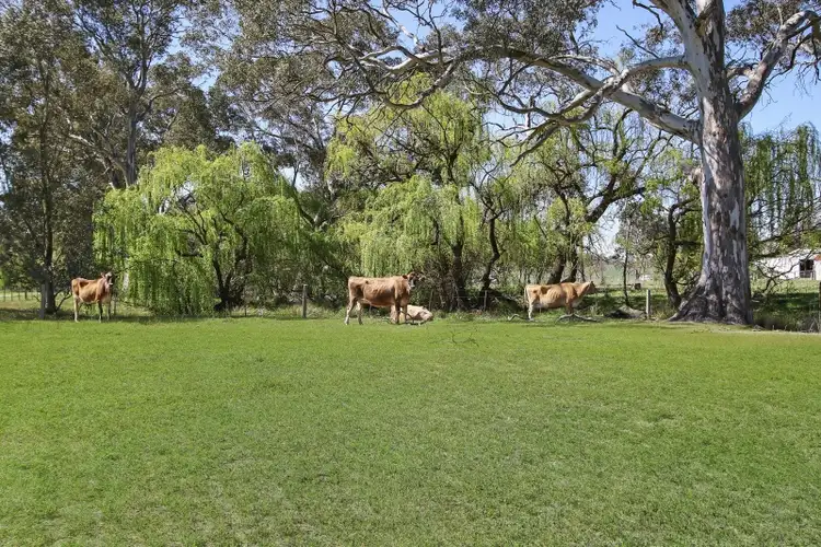 Third view of Homely rural property listing, 275 O'Dea Road, Molyullah VIC 3673