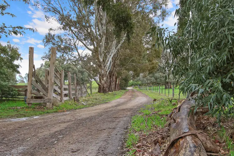 Sixth view of Homely rural property listing, 431 Castle Hill Road, Swanpool VIC 3673