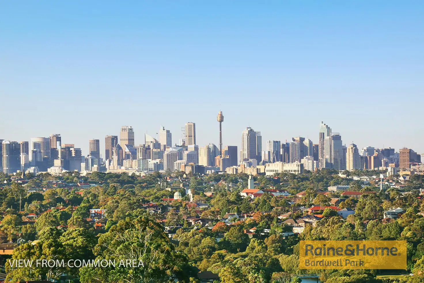 Main view of Homely unit listing, 6/313a Homer Street, Earlwood NSW 2206
