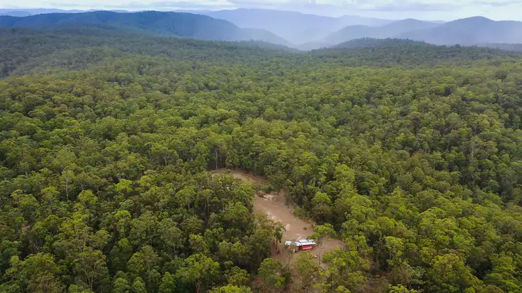 Third view of Homely rural property listing, 2493 Blacksmith Shop Road, Newton Boyd NSW 2370