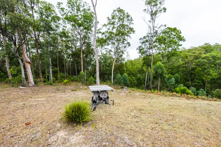 Sixth view of Homely rural property listing, 2493 Blacksmith Shop Road, Newton Boyd NSW 2370