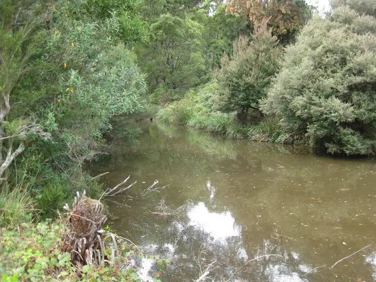 Main view of Homely rural property listing, Lot 2 Trowutta Road, Edith Creek TAS 7330