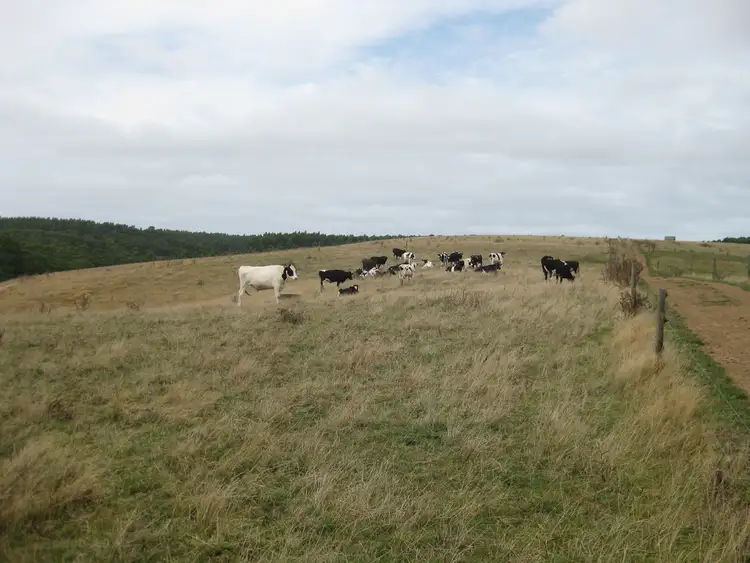 Third view of Homely rural property listing, Lot 2 Trowutta Road, Edith Creek TAS 7330
