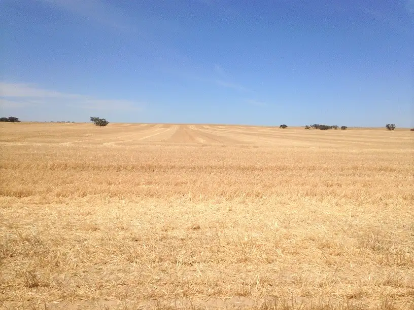 Main view of Homely rural property listing, 2473 Dukes Highway, Coomandook SA 5261