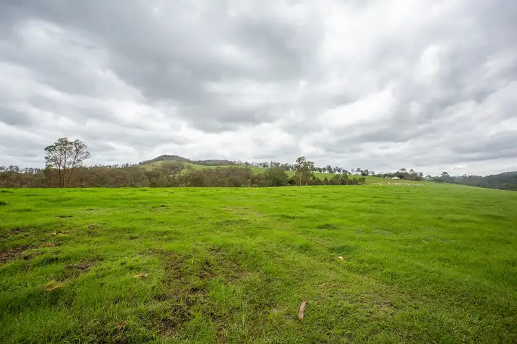 493 Rocks Road, Pie Creek QLD 4570