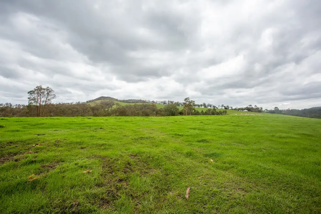 Main view of Homely land listing, 493 Rocks Road, Pie Creek QLD 4570