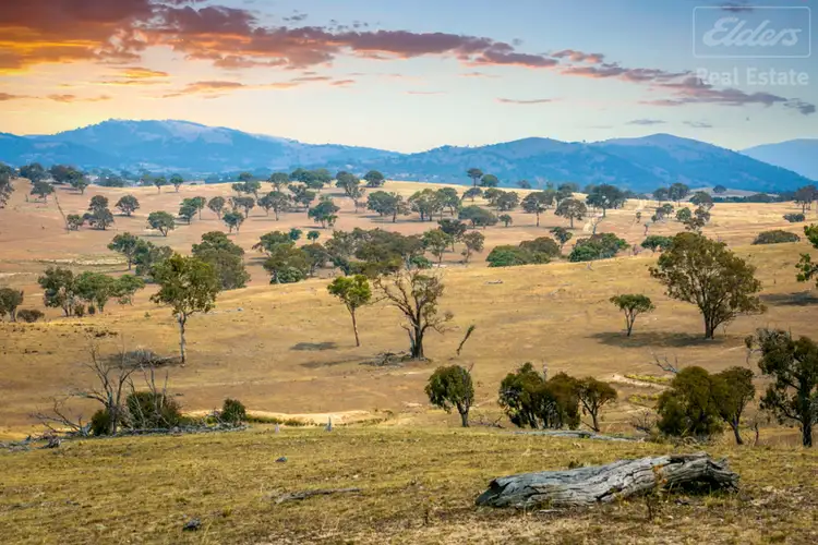 Main view of Homely rural property listing, 1995 Old Cooma Road, Royalla NSW 2620