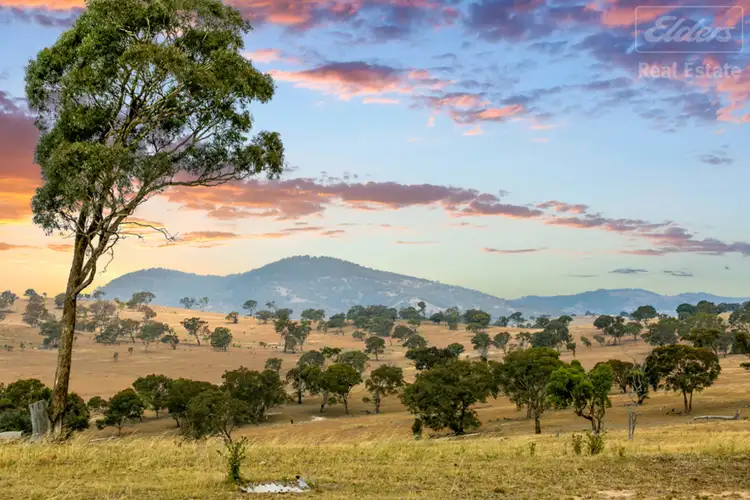 Third view of Homely rural property listing, 1995 Old Cooma Road, Royalla NSW 2620