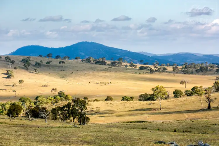 Fourth view of Homely rural property listing, 1995 Old Cooma Road, Royalla NSW 2620