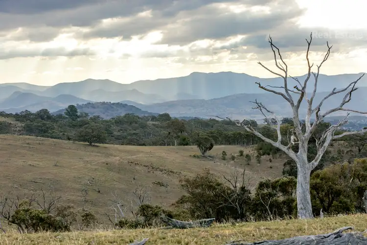 Fifth view of Homely rural property listing, 1995 Old Cooma Road, Royalla NSW 2620
