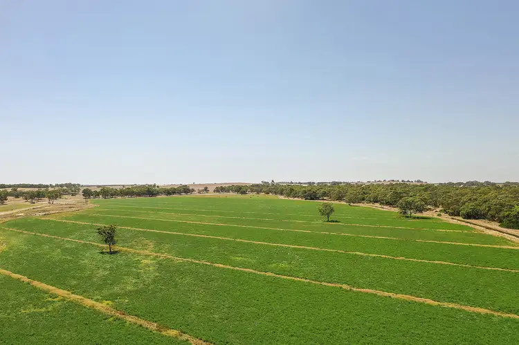 Second view of Homely rural property listing, 849 Avenue Range Road, Kingston Se SA 5275