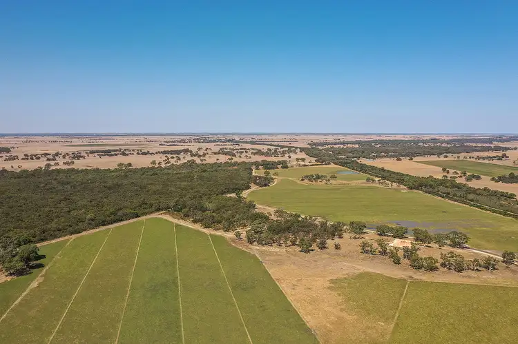 Seventh view of Homely rural property listing, 849 Avenue Range Road, Kingston Se SA 5275