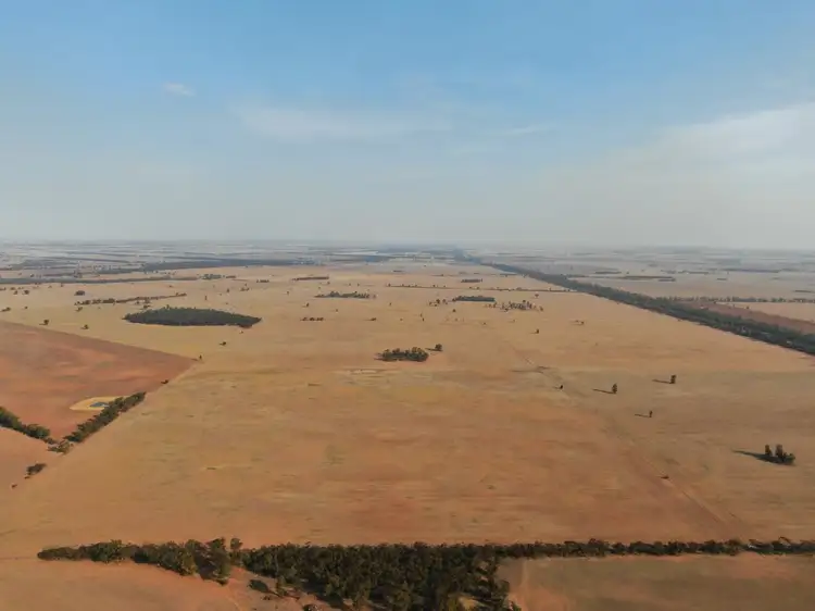 315 Fullers Lane, West Wyalong NSW 2671