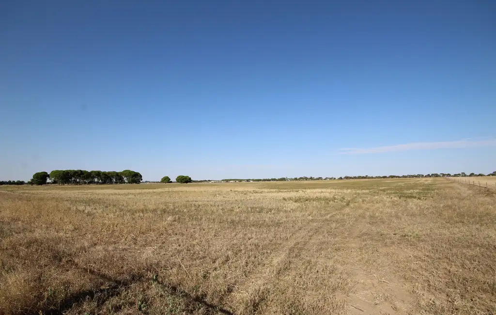 Main view of Homely rural property listing, 0 Tuckers Road, Jung VIC 3401