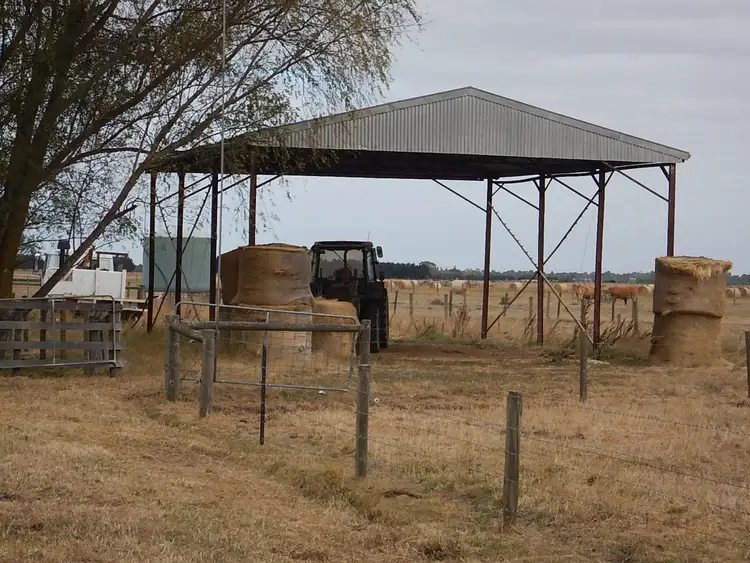 Fourth view of Homely rural property listing, 305 MCCRAWS ROAD, Catani VIC 3981