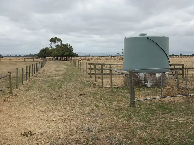Fifth view of Homely rural property listing, 305 MCCRAWS ROAD, Catani VIC 3981