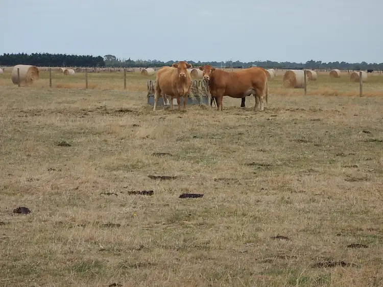 Sixth view of Homely rural property listing, 305 MCCRAWS ROAD, Catani VIC 3981